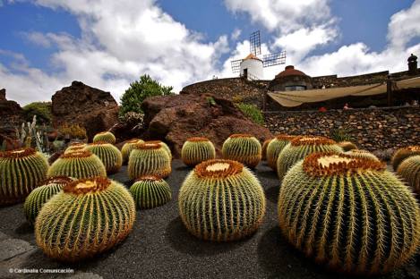 Jardín del Cactus. Lanzarote. Islas Canarias.